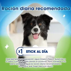Dentalife Snacks Dentales Medium ActivFresh para perros Best