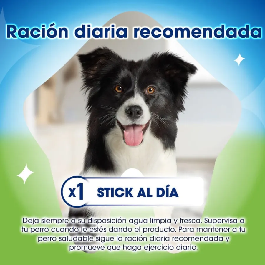 Dentalife Snacks Dentales Medium ActivFresh para perros Best
