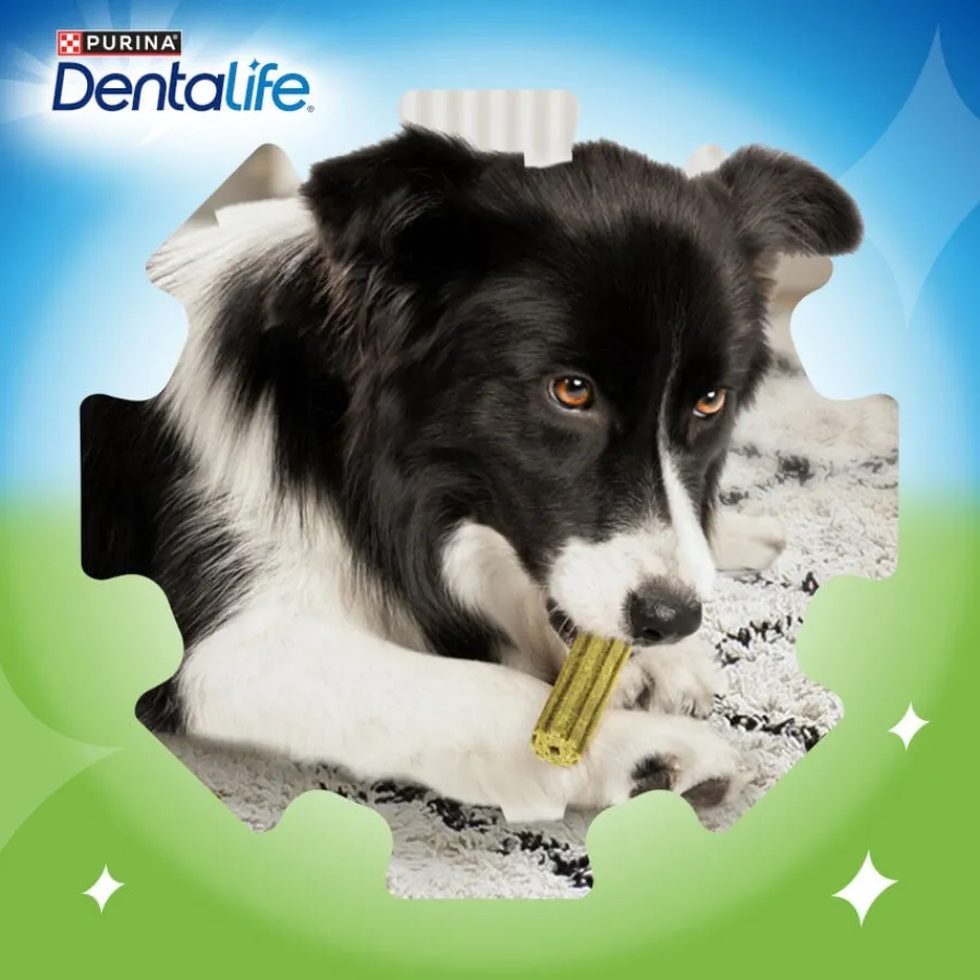 Dentalife Snacks Dentales Medium ActivFresh para perros Best