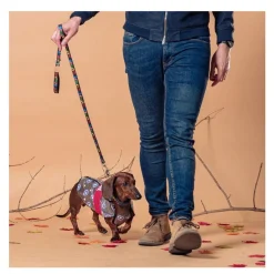 Disney Marvel Chubasquero Capitán América para perros Clearance