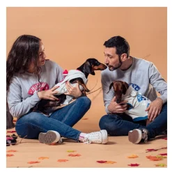 Disney Mickey Mouse sudadera para perros