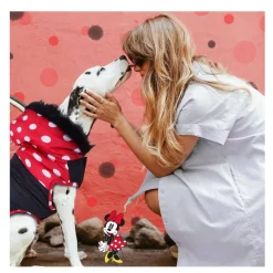 Disney Minnie Mouse Abrigo Acolchado para perros Clearance
