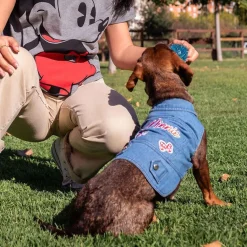 Disney Minnie Mouse Chaqueta Vaquera para perros Discount