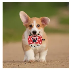 Disney Minnie Mouse Disco de Cuerda para perros Sale