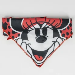 Disney Minnie Mouse Set Regalo de Bienvenida para perros Online