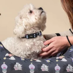 Disney Villanas Premium collar para perros New