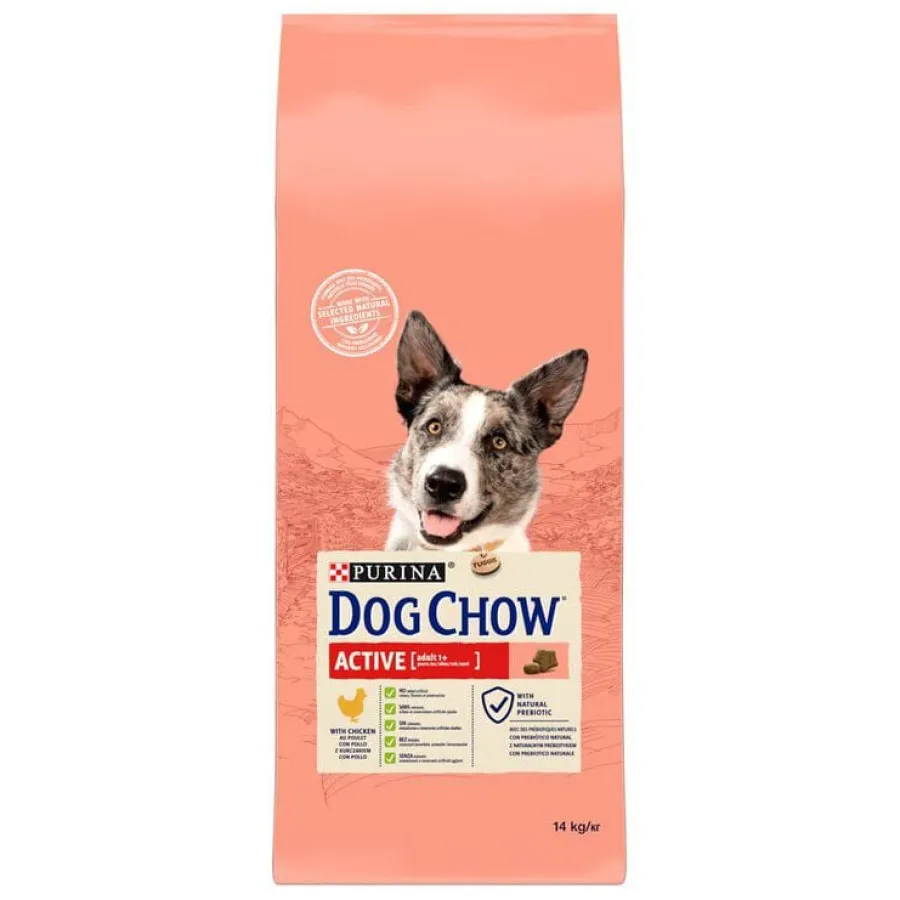 Dog Chow Active Pollo pienso para perros Online