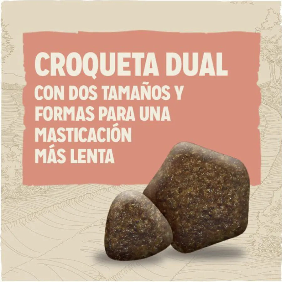 Dog Chow Active Pollo pienso para perros Online