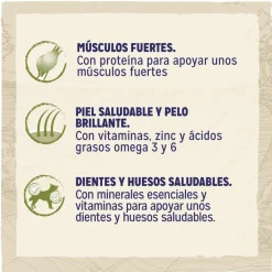 Dog Chow Adult Cordero pienso para perros Best