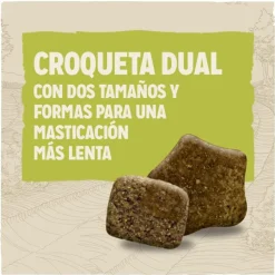 Dog Chow Adult Cordero pienso para perros Best