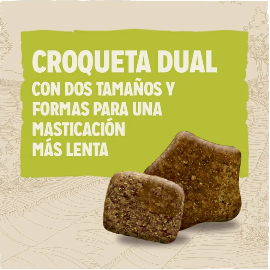 Dog Chow Adult Pollo pienso para perros Hot