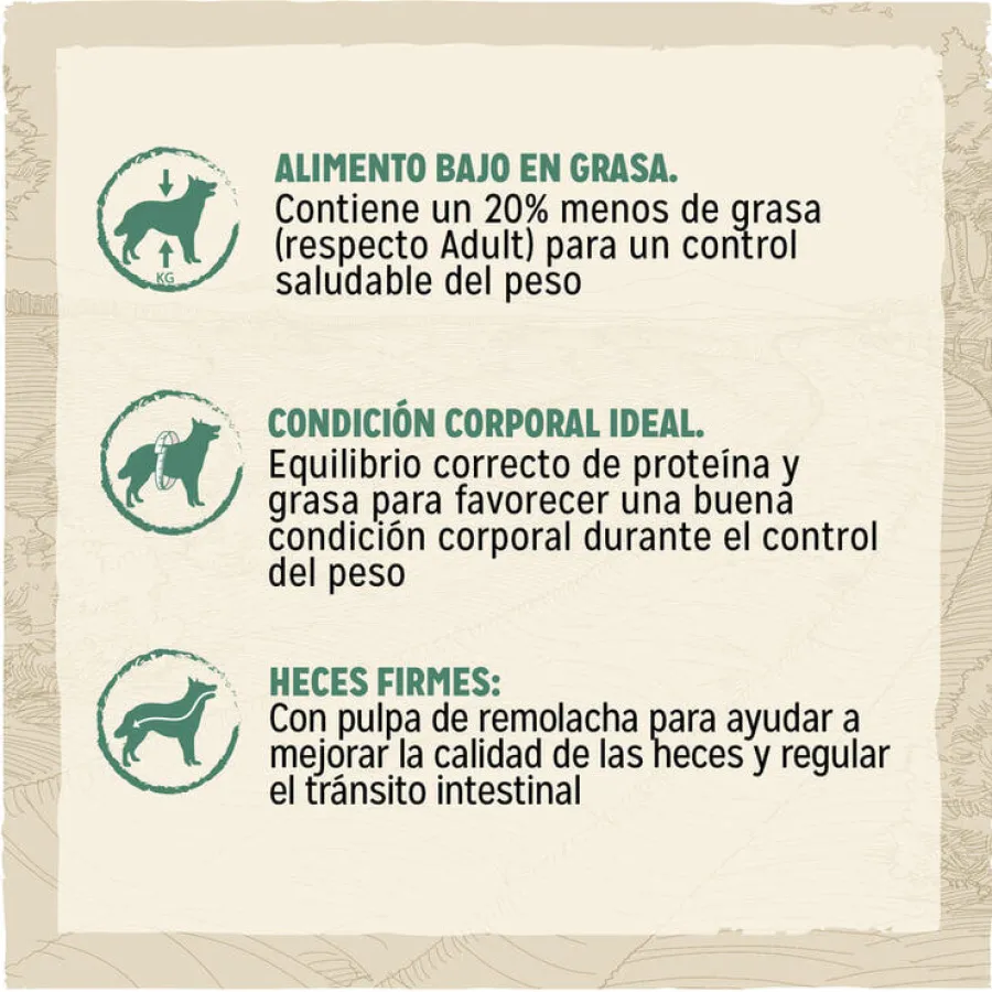Dog Chow Light Pavo pienso para perros Clearance