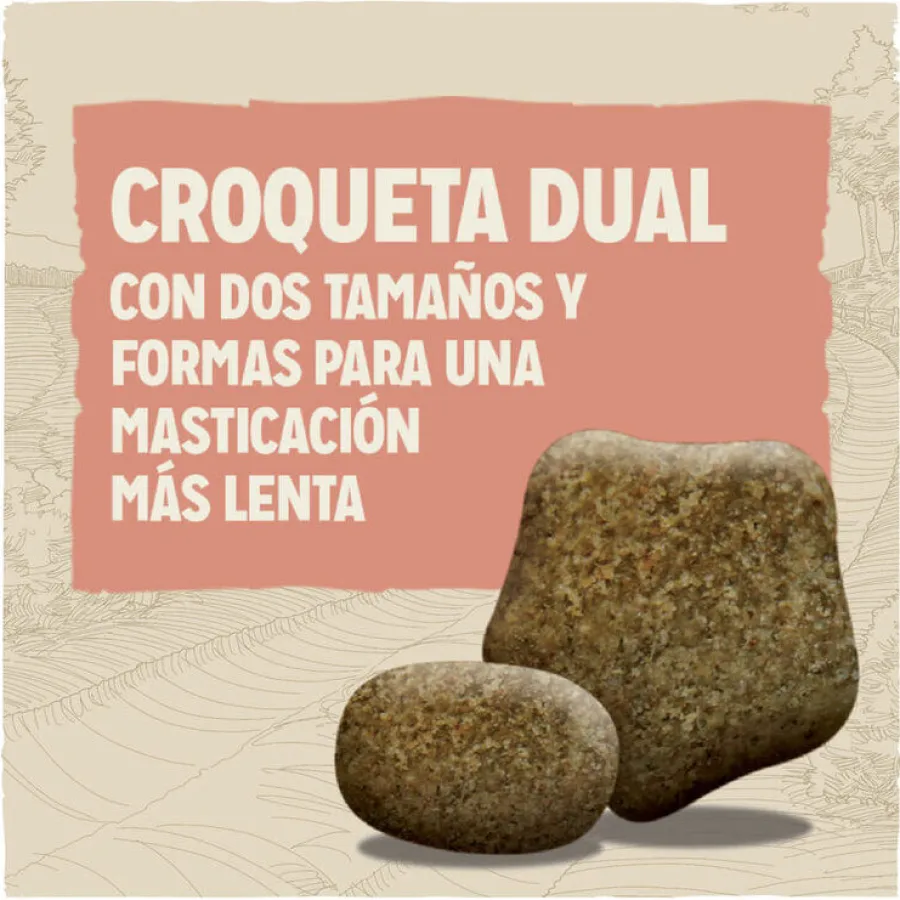 Dog Chow Light Pavo pienso para perros Clearance