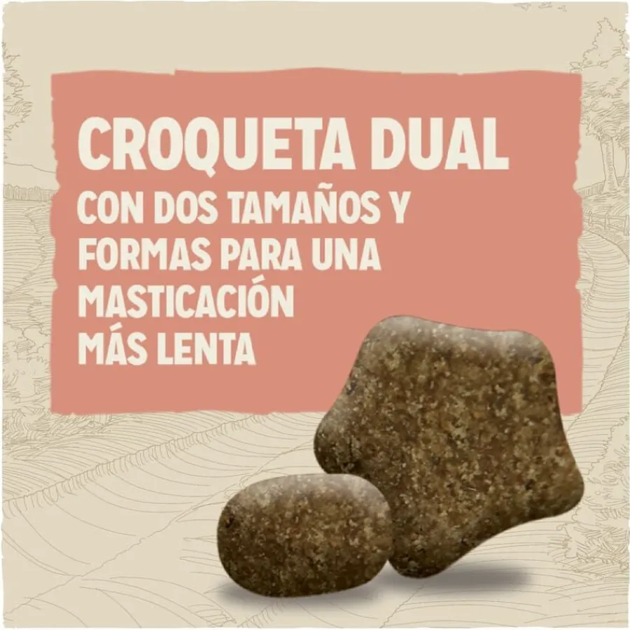 Dog Chow Sensitive Salmón pienso para perros