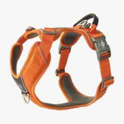 Dog Copenhagen Comfort Walk Pro Arnés Naranja para perros Sale
