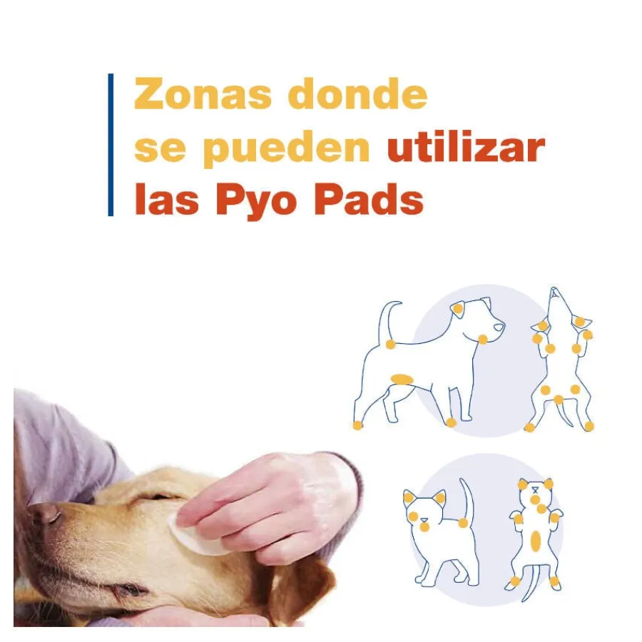 Douxo Pya Algodón Desinfectante para perros y gatos Online