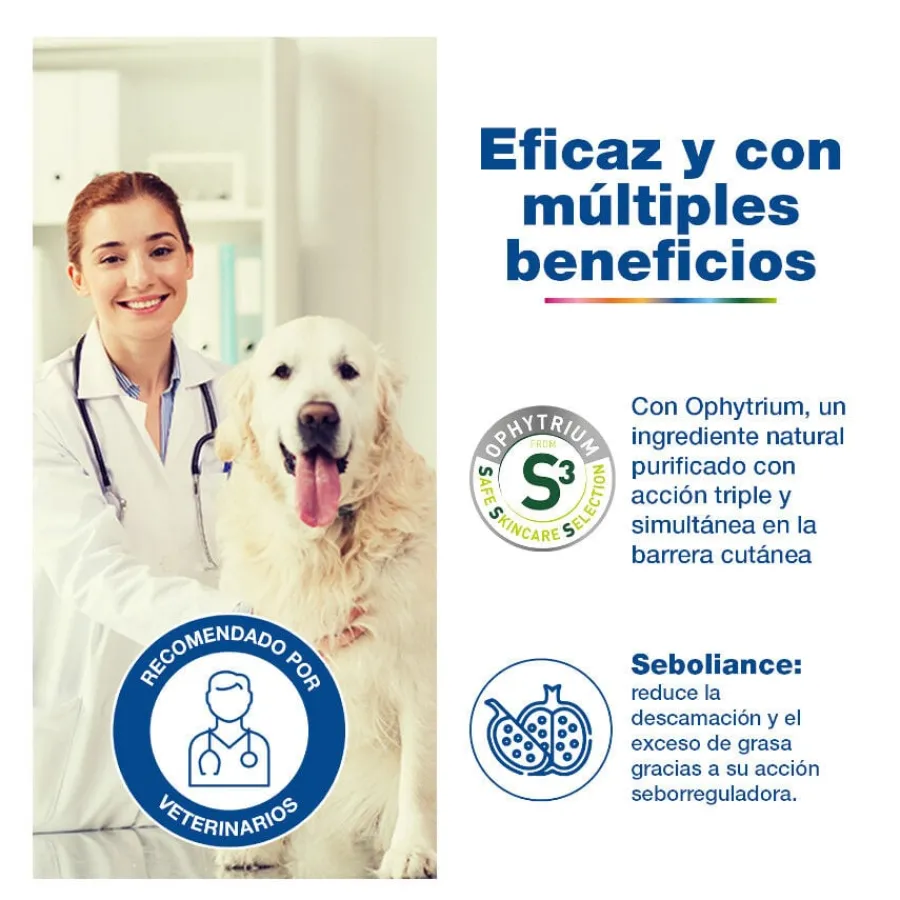 Douxo S3 Seb Champú Piel Grasa para perros y gatos Best