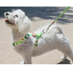 Dukier Arnés Clásico Estampado Aguacate para perros Outlet