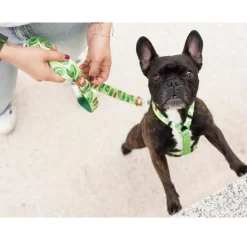 Dukier Arnés Clásico Estampado Aguacate para perros Outlet