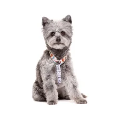 Dukier Arnés Clásico Estampado Tattoo para perros Discount