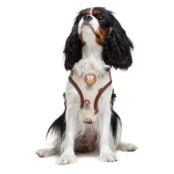 Dukier Arnés Reversible Estampado Tortugas para perros Sale