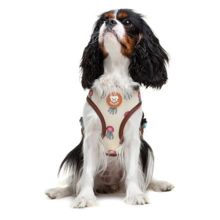 Dukier Arnés Reversible Estampado Tortugas para perros Sale