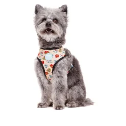 Dukier Arnés Reversible Estampado Tattoo para perros Hot