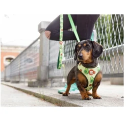 Dukier Avocado Arnés Reversible Estampado Aguacate para perros Best