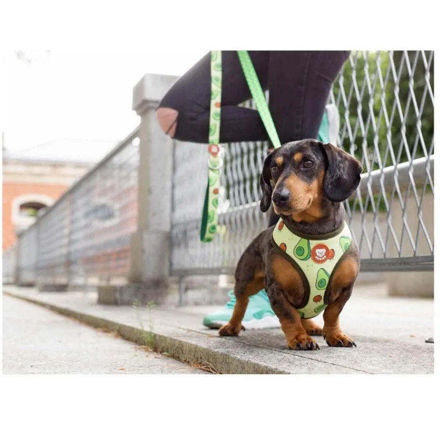 Dukier Avocado Arnés Reversible Estampado Aguacate para perros Best