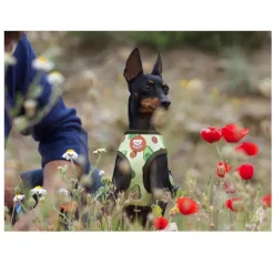 Dukier Avocado Arnés Reversible Estampado Aguacate para perros Best