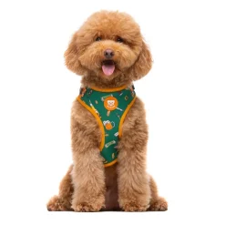 Dukier Beer Arnés Ajustable para perros Sale