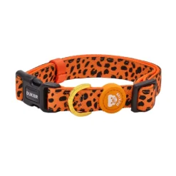Dukier Cheetah Gold collar para perros Best