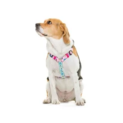 Dukier Clásico Arnés Estampado Princesas para perros Best