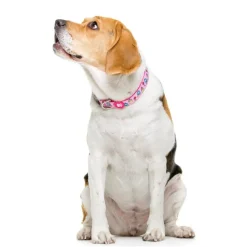 Dukier Collar Estampado Princesas para perros
