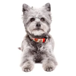 Dukier Collar Estampado Tattoo para perros Hot