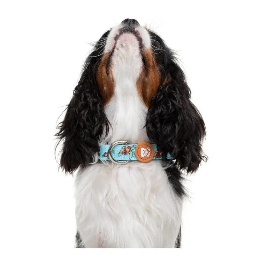 Dukier Collar Estampado Tortugas para perros Outlet