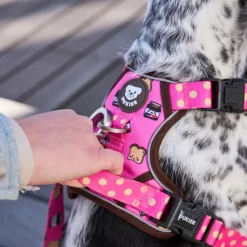 Dukier Dogtella Arnés trail para perros New