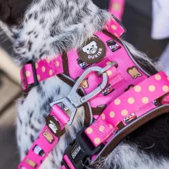 Dukier Dogtella Arnés trail para perros New
