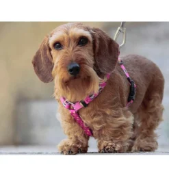 Dukier Dogtella Clásico Arnés Estampado Nutella para perros Best