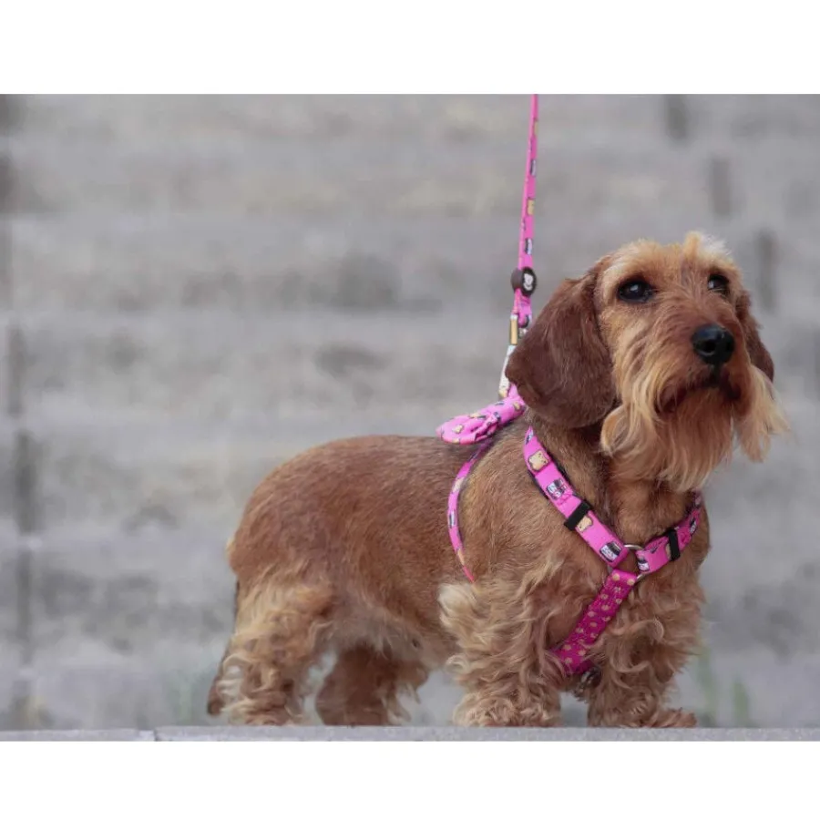 Dukier Dogtella Clásico Arnés Estampado Nutella para perros Best
