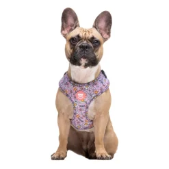 Dukier Flower Power Arnés Ajustable para perros