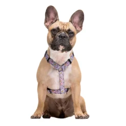 Dukier Flower Power Arnés Clásico para perros