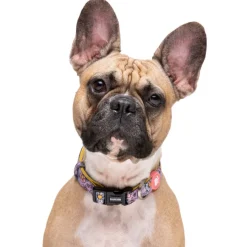 Dukier Flower Power collar para perros Outlet