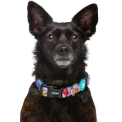 Dukier Gummy Bears collar para perros Online