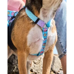Dukier Mermaid Arnés Clásico para perros Clearance