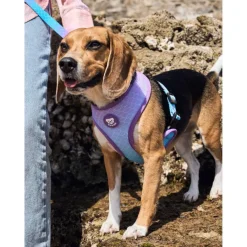 Dukier Mermaid Arnés Reversible para perros