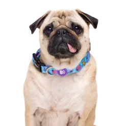 Dukier Mermaid collar para perros Clearance