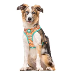 Dukier Peace Arnés Reversible para perros Hot