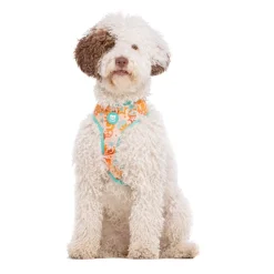 Dukier Peace Arnés Reversible para perros Hot