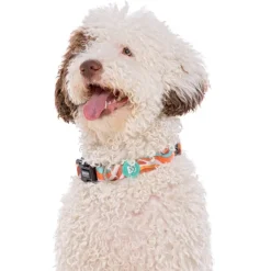 Dukier Peace collar para perros Discount